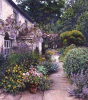 In the Front Garden